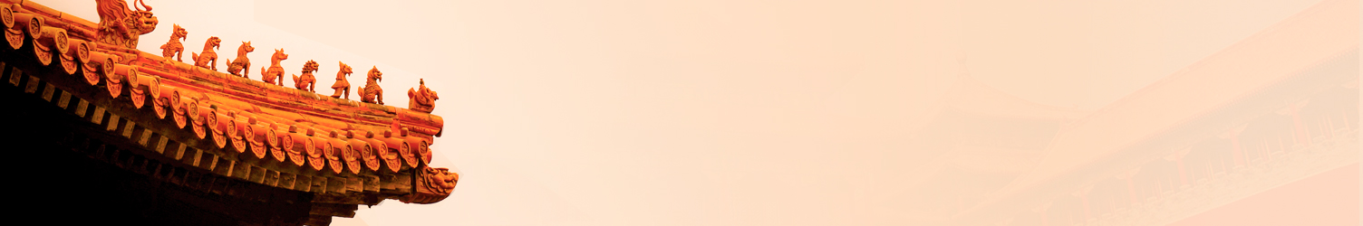 職業(yè)年金